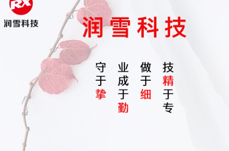 潤雪科技網(wǎng)站建設(shè)——技精于專,做于細(xì),業(yè)成于勤,守于摯
